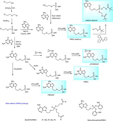 Phosphonates and Phosphonate Prodrugs in Medicinal Chemistry: Past Successes and Future Prospects